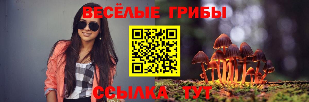 Галлюциногенные грибы мухоморы Раменское